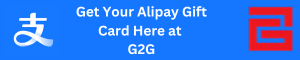 G2G alipay